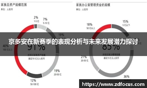 京多安在新赛季的表现分析与未来发展潜力探讨