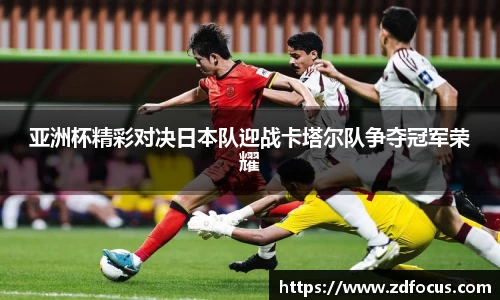 bsports官网